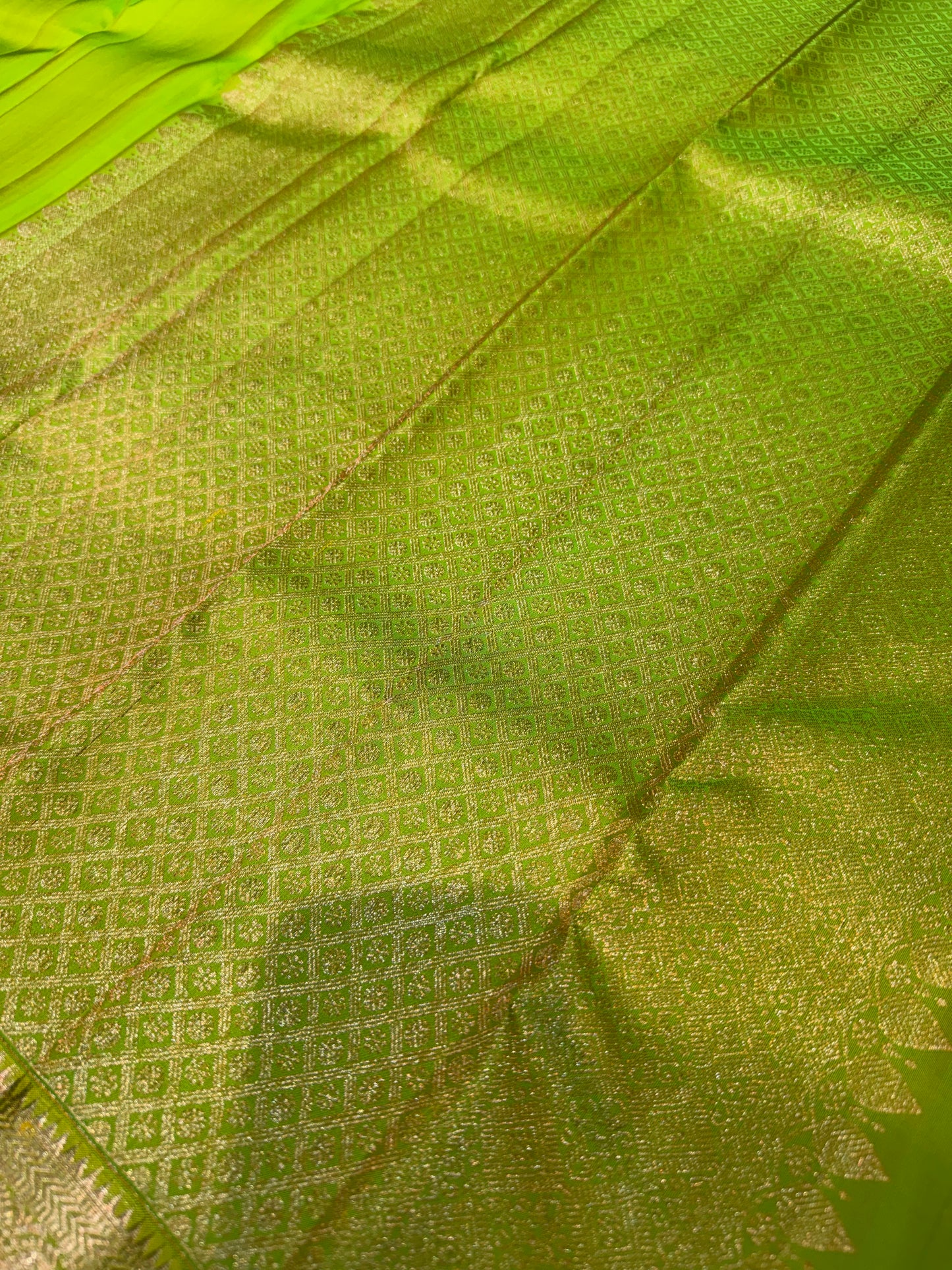 Plain Parrot Green Pure Silk Saree with Minimal Gold Border